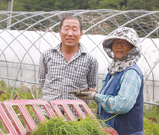 [논에서 만난 사람들] 90마지기 모 심는 조중목씨