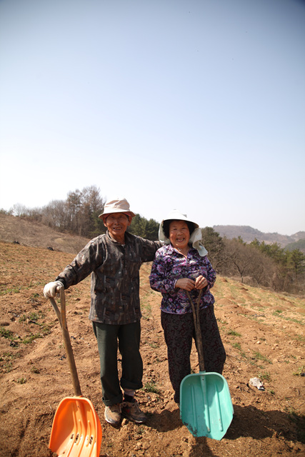 [봄의 길목 산정마을] 5000평 농사 짓는 노인회장 부부 