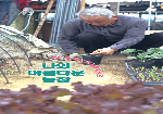 용진읍 녹동마을 김영표 선생님 이야기